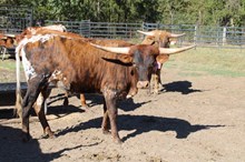 Silver Water Runs Deep