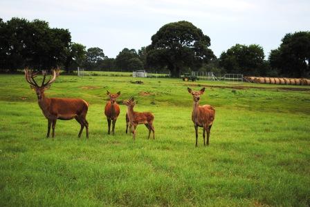 Zulu Creek Ranch