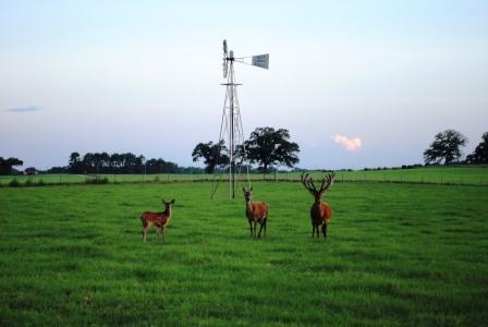 Zulu Creek Ranch