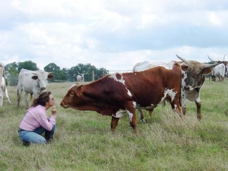 Silver T Longhorns